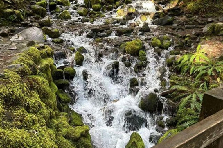 Small Group: Olympic Park & Forks Day Trip From Seattle