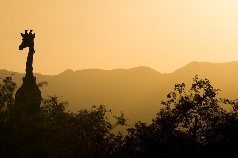 3 DAGAR 2 NÄTTER TILL NYERERE PARK FRÅN ZANZIBAR MED FLYG