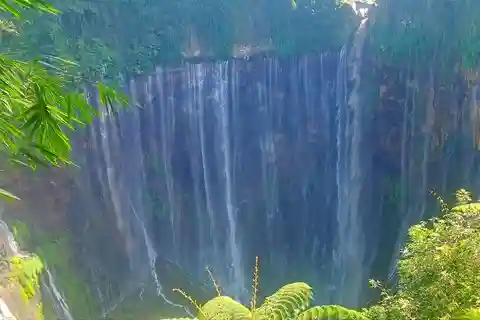 From Surabaya/Malang : Bromo, Tumpaksewu waterfall in 2 days