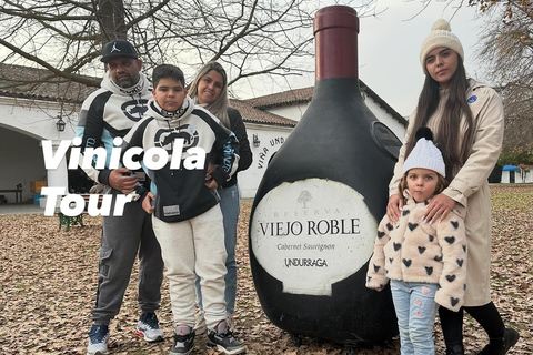 Maipo Valley Wine Tour, Santa Rita And Undurraga From STGO