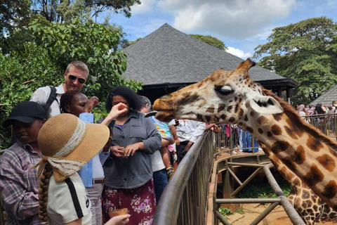 Nairobi: Giraffe Centre Visit and Giraffe Feeding Experience Nairobi: Interactive Giraffe Feeding & Wildlife Education