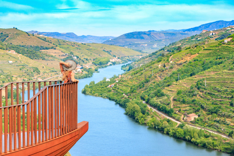 Porto: Vinresa Vintur i Dourodalen med en sommelier och båttur