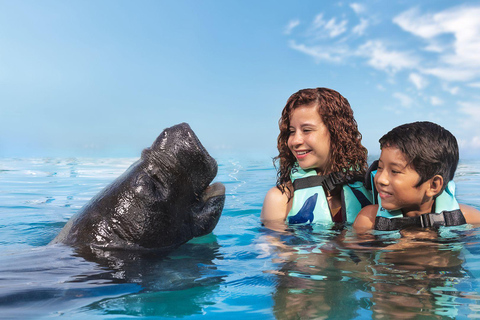 Cozumel: Manatee Encounter & Chankanaab Park