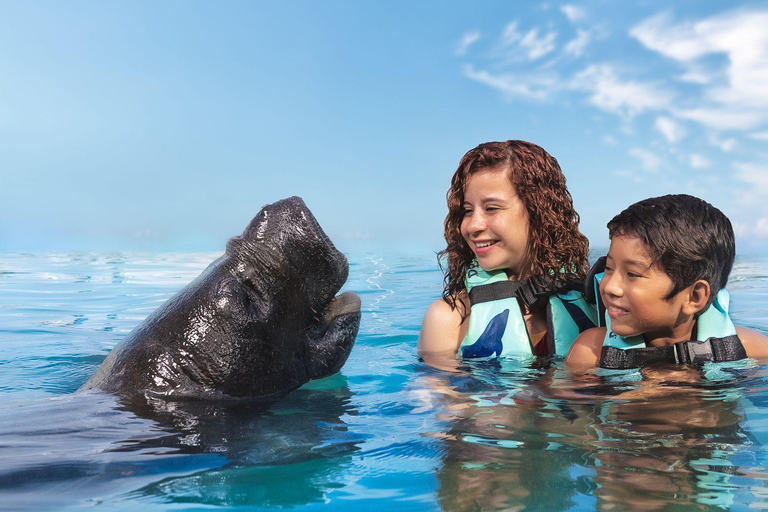 Cozumel: Manatee Encounter & Chankanaab Park