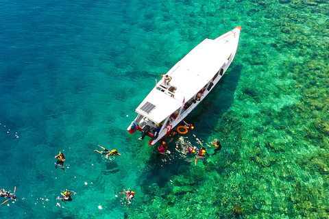 Gili Trawangan: Public Snorkeling Tour with Turtles and BBQ Public Snorkeling Tour with Turtles