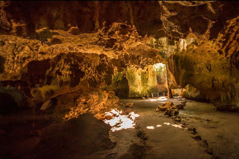 Traditional dhow ride to Kisite Marine Park & Wasini & dolphin watching