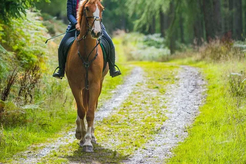 Horseback riding in Kissamos