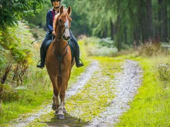 Mindful Horseback Escape – Kissamos