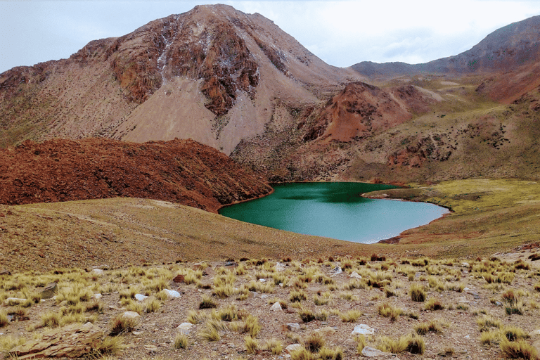 Excursie naar Pulacayo en Tomave