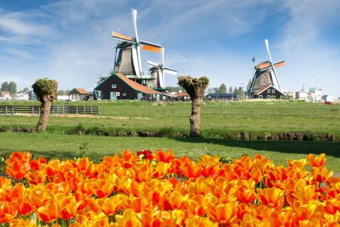 Amsterdam: Keukenhof and Zaanse Schans Windmills Day Trip