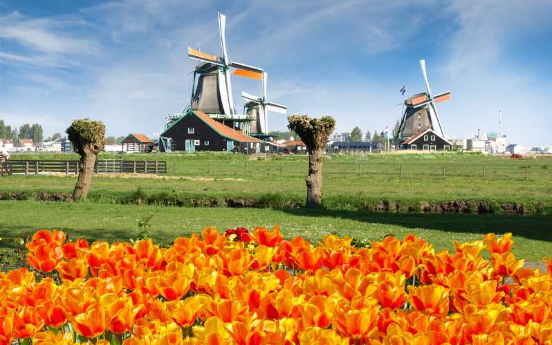 Amsterdam: Escursione di un giorno ai mulini a vento di Keukenhof e Zaanse Schans