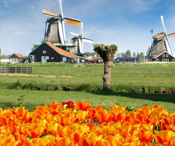 Амстердам: однодневная поездка в Кекенхоф и ветряные мельницы Заансе-Сханс