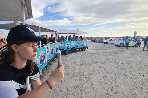 正宗杰尔巴：日落马车之旅和东方小吃正宗杰尔巴岛：日落马车之旅和免费东方小吃