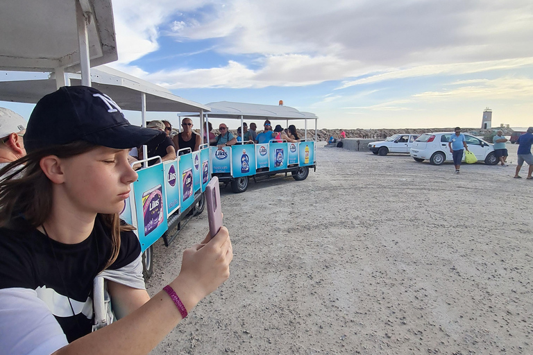 正宗杰尔巴：日落马车之旅和东方小吃正宗杰尔巴岛：日落马车之旅和免费东方小吃