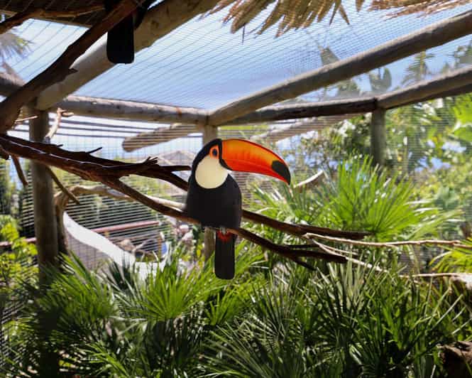 Madeira: Boca dos Namorados, bird zoo Cabo Girão & Wine Tour