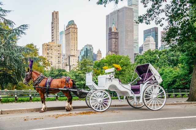 NYC : Promenade guidée en calèche dans Central Park