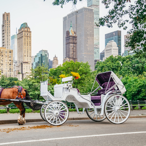 NYC: Guided Central Park Horse Carriage Ride