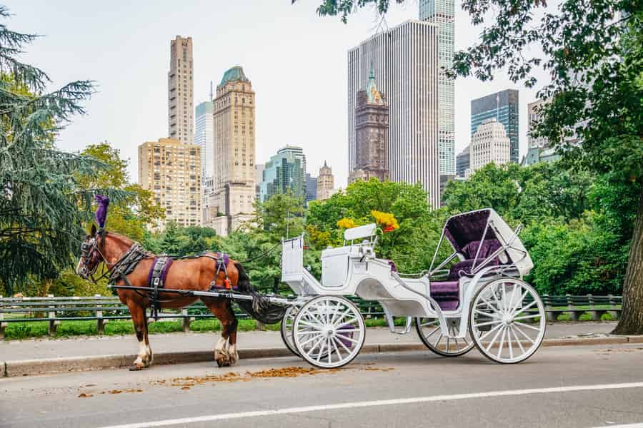 NYC: Geführte Kutschfahrt im Central Park. Foto: GetYourGuide