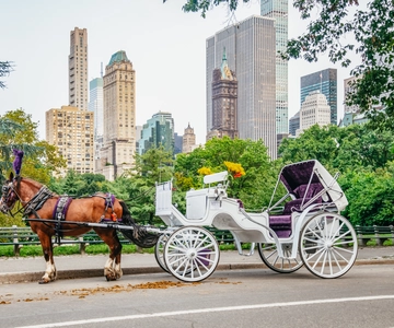 NYC: Geführte Kutschfahrt im Central Park