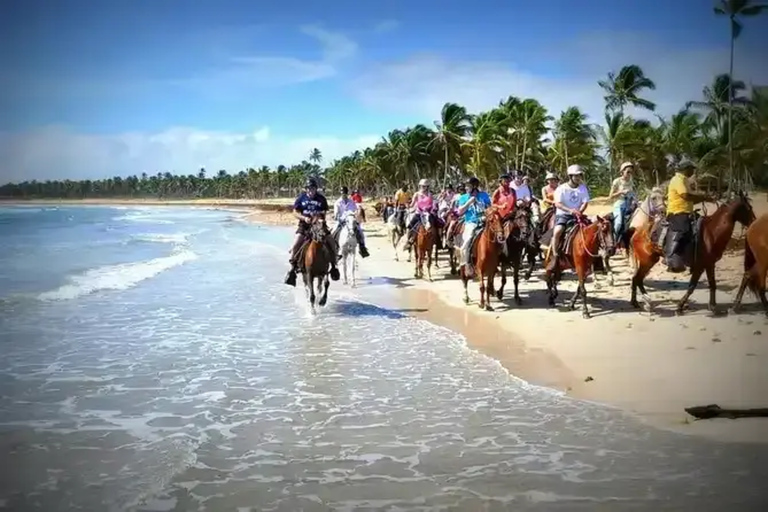 Punta Cana: Horseback Riding Adventure with Transfers