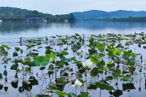 Hangzhou: West Lake, Lingyin Temple & Tea Village Group Tour