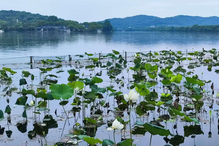 Hangzhou: West Lake, Lingyin Temple & Tea Village Group Tour