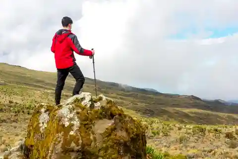 Le Cap : randonnée privée guidée sur la montagne de la Table avec prise en charge