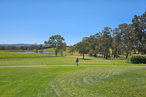 Tour de vinhos em McLaren Vale e na histórica Hahndorf