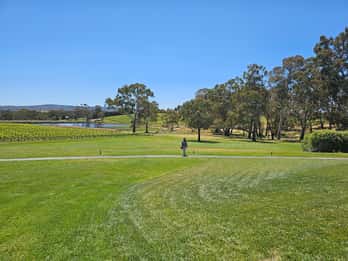 McLaren Vale and Historic Hahndorf Wine Tour