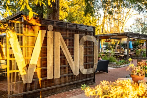 San Francisco: Guided Coastal Redwoods & Wine Country Tour