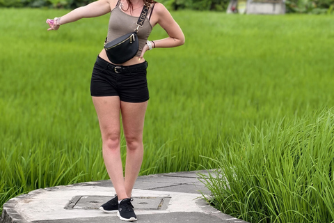 Bali: Private Jungle Swing, Waterfall & Rice Paddy Tour Private Tour with Entrance Fess