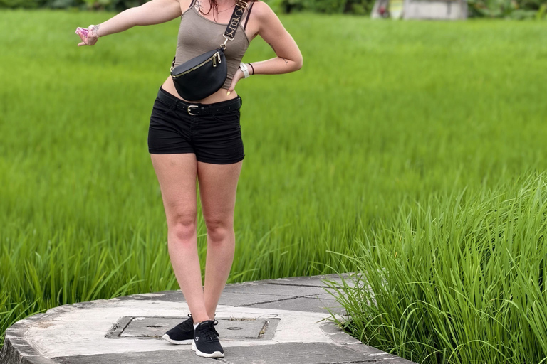 Bali: Private Jungle Swing, Waterfall & Rice Paddy Tour Private Tour with Entrance Fess
