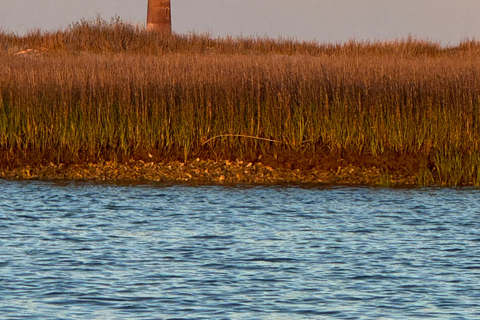 2 timmars privat flodkryssning med stopp vid Morris Island