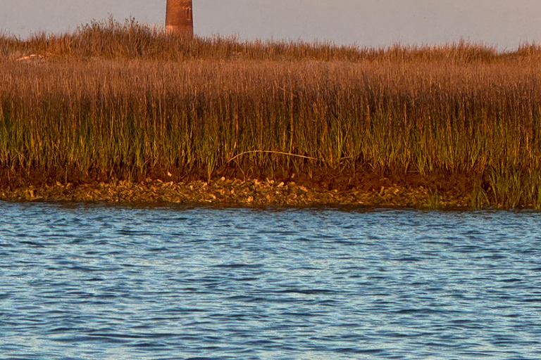 2 timmars privat flodkryssning med stopp vid Morris Island