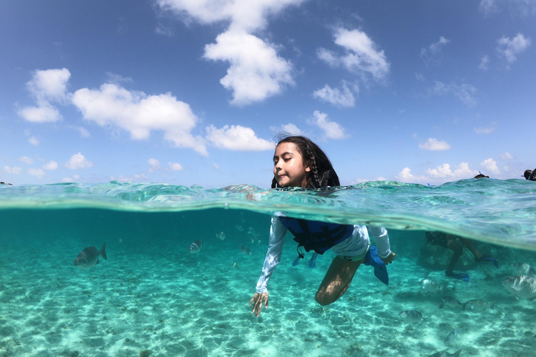 Cancun: Speedboat, Snorkeling, Dolphin Beach & Parasailing