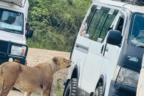 Nairobi: National Park Half-Day Safari with Hotel Pick-Up Nairobi: National Park Half-Day Jeep Safari with Pick-Up