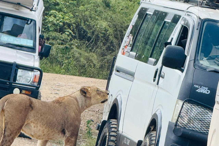 Nairobi: National Park Half-Day Safari with Hotel Pick-Up