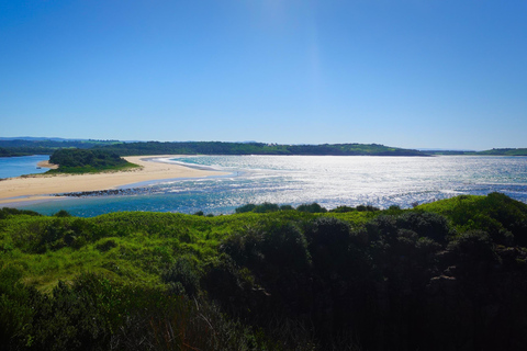 Sydney Secret Coastline: Kiama Blowhole, Wollongong Wildlife Shared Tour, Meet at Furama Darling Harbour