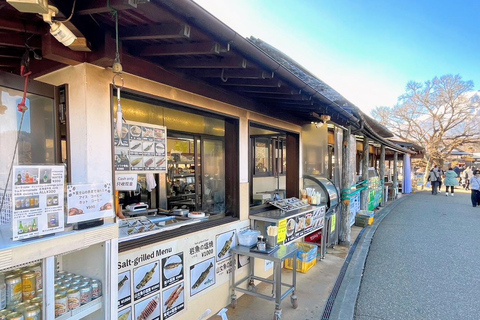 Tokyo: Mt Fuji, Lake Cruise and Noodles Making Experience Spectacular Fuji: Nature & Local Flavors