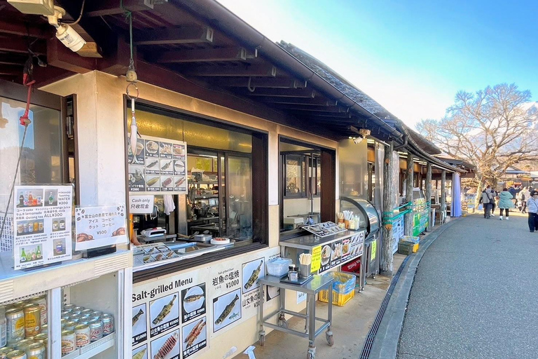 Tokyo: Mt Fuji, Lake Cruise and Noodles Making Experience Spectacular Fuji: Nature & Local Flavors