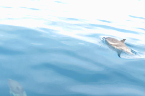 Syracuse: Snorkeling Excursions by Sailboat to Plemmirio Syracuse: Snorkeling Excursions by Sailboat at Plemmirio