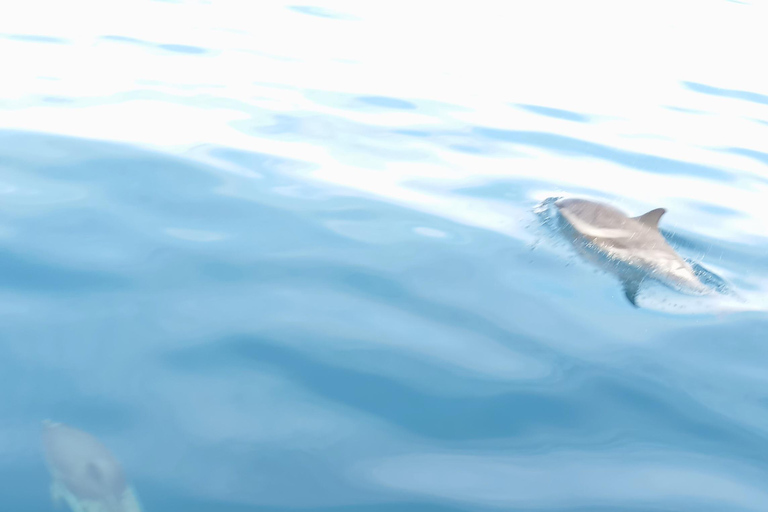 Syracuse: Snorkeling Excursions by Sailboat to Plemmirio Syracuse: Snorkeling Excursions by Sailboat at Plemmirio