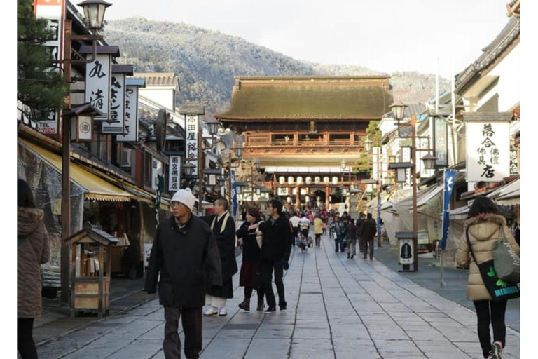 Z Tokio i Nagano: Luksusowa 1-dniowa prywatna wycieczka do Snow Monkey