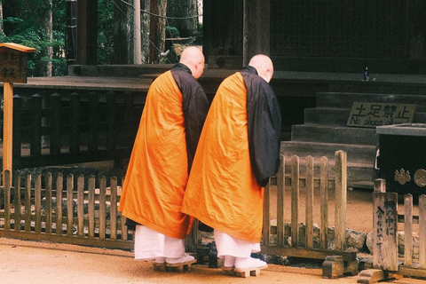 From Osaka/Kyoto: Mt. Koya & Nachi Falls Private Day Trip