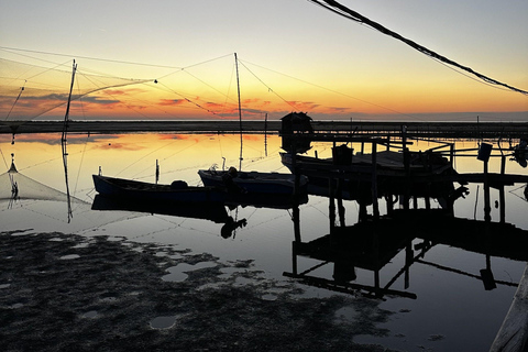 From Tirana/Durres/Golem: Karavasta Lagoon & Divjaka Tour Private Tour from Golem: Karavasta Lagoon & Divjaka Forest