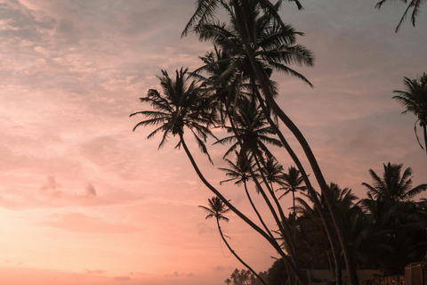 From Kandy: Sigiriya & Dambulla Day Tour with Safari