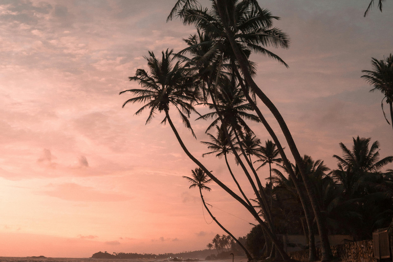 From Kandy: Sigiriya & Dambulla Day Tour with Safari