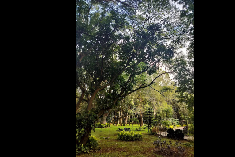 بنغالور: جولة إرشادية في نافورة أنديرا غاندي الموسيقيةBangalore: Indira Gandhi Musical Fountain Guided Tour