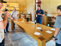 De Bordeaux, visite guidée des vins de Saint-Emilion - Hizvo
