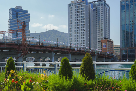 Busan: Power Walk Tour with a Local Mate